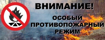 Особый противопожарный режим продлен до 31 мая!